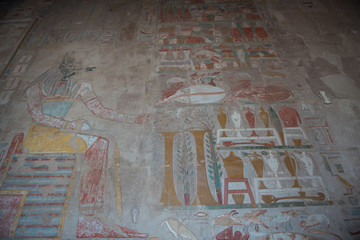Hyroglyphen im Hatschepsut Tempel in Äfypten