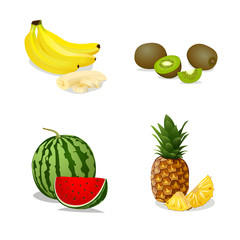 Kiwi, banana, watermelon and pineapple
