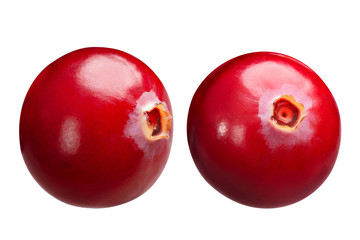 Cranberries v. oxycoccus singles, paths
