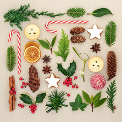 Symbols of Christmas collection with natural holly and mistletoe with berries, a variety of leaf sprigs with traditional food of fruit, mince pies, candy canes, spices and gingerbread biscuits. 