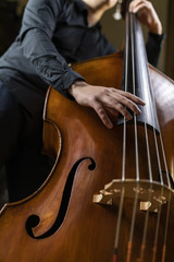 A person playing a double bass - obrazy, fototapety, plakaty