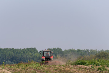 The red tractor works in the field in autumn