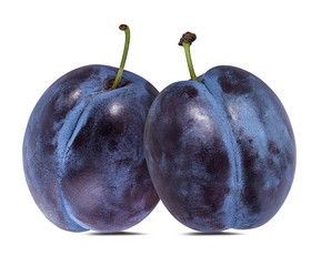 plum on a white background