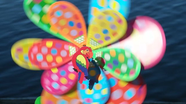 Children's colorful pinwheel toy in the park against the blue pond  