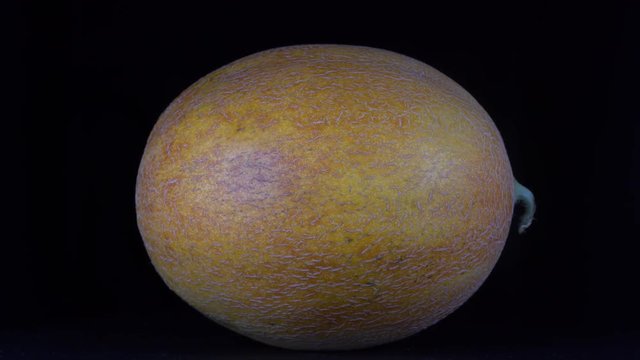 Yellow melon on a black background, close up. Rotates yellow melon, macro