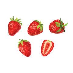 A set of ripe strawberries. Vector illustration