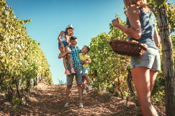 Family In The Vineyard