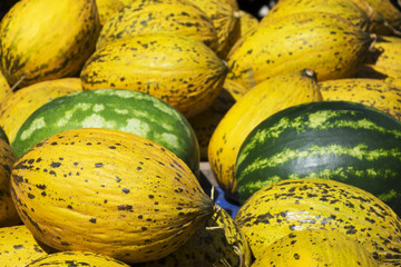 Group of fresh ripe green watermelons and yellow sweet melons. Cantaloupe melons on the wooden box for sale in organic farm. Melon is any of various plants.