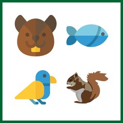 small icon. fish and squirrel vector icons in small set. Use this illustration for small works.