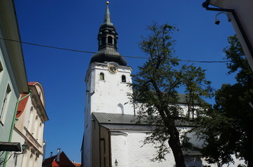 Tallinn: Dom