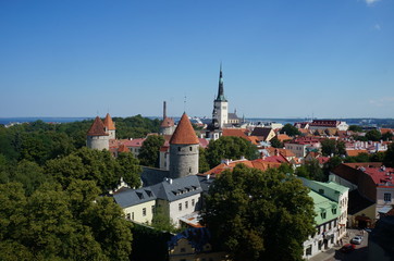 Fototapeta na wymiar Tallinn: Blick vom Domberg auf die Unterstadt