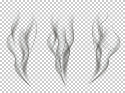 Smoke effect set. Vector smoke effects isolated on transparent background.