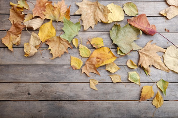 Naklejka na ściany i meble Autumn leaves on a rustic wooden table