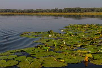 The Dnieper River in the village of Kushugum