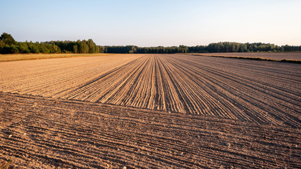Krajobraz wiejski, Polska, Podlasie