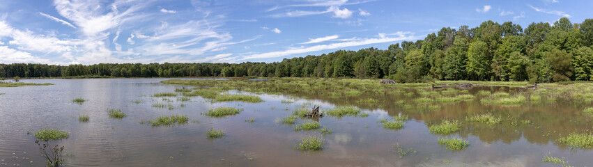 A bright blue sky with wispy clouds abov a panoramic landscape view of a Virginia wetland.