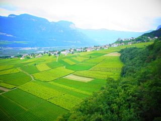 field in north Italy