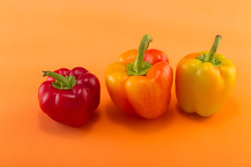 Sweet bell pepper on a colored background. Studio light. Top view