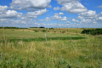 Fototapeta premium Steppe rural landscape in Russia in July