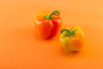 Sweet bell pepper on a colored background. Studio light. Top view
