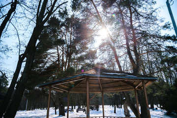 A spring sunny day in a snowy park
