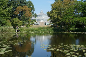 Fototapeta premium Kopenhagen Botanischer Garten