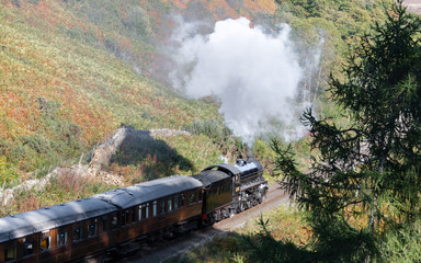 Heritage Steam Train