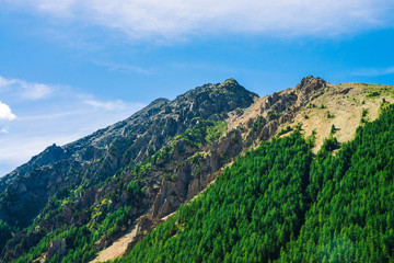 Giant rock with conifer forest on slope in sunny day. Texture of tops of coniferous trees on mountainside in sunlight. Steep rocky cliff. Vivid mountain landscape of majestic nature. View from valley.