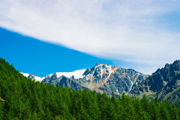 Snowy mountain top behind wooded hill under blue clear sky. Rocky ridge above coniferous forest. Atmospheric minimalistic landscape of majestic nature.