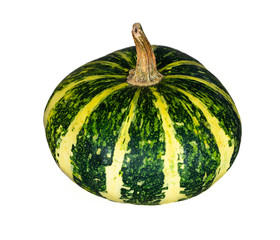 Fresh green yellow flat striped pumpkin close-up on white background, isolated, Halloween concept.