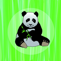 Vector illustration of a panda on a background of green bamboos. You can use for the design of postcards, notebooks, children's books and more