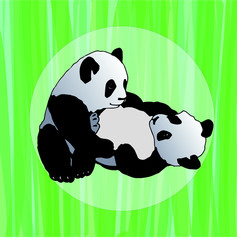 Vector illustration of a panda on a background of green bamboos. You can use for the design of postcards, notebooks, children's books and more