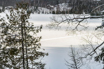 View looking out through evergreen trees,  down onto a snow covered lake with a set of track leading across the lake, cottages in background.