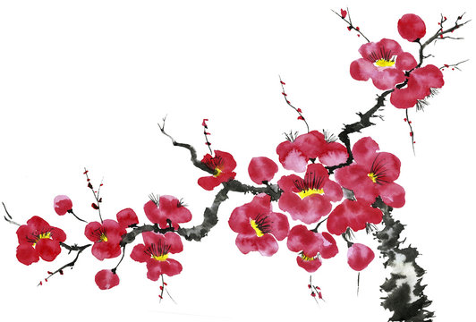 A branch of a blossoming tree. Pink and red stylized flowers of plum mei, wild apricots and sakura . Watercolor and ink illustration in style sumi-e, u-sin. Oriental traditional painting.