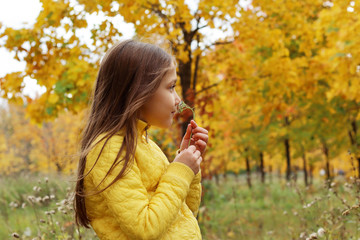 little girl model posing in autumn forest, child playing in Park