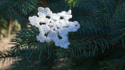 boże narodzenie święta choinka © Magorzata