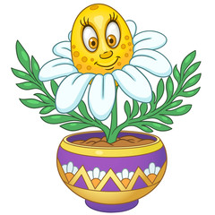 Cartoon white daisy flower
