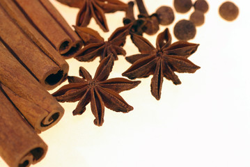 scented spices on a white background