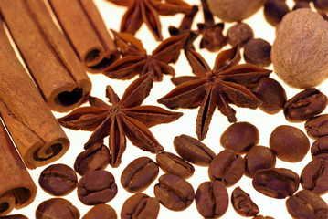scented spices on a white background