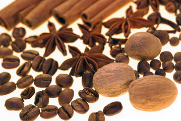 scented spices on a white background