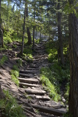 Szlak w górach / Mountain trail