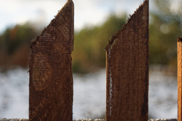Old fence © bartazar