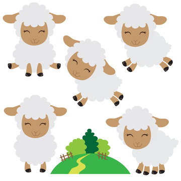 Cute sheep vector cartoon illustration