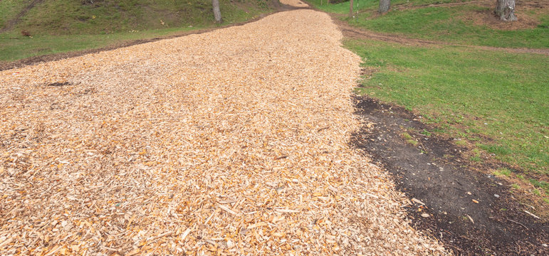 Sports Track With Pine Cover