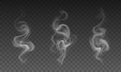 Dekokissen Vektorsatz realistischer transparenter Raucheffekte © Kateina