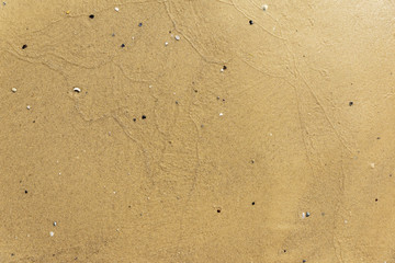 texture of yellow sea sand on a summer day beach