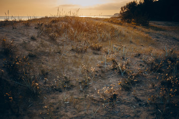 Beautiful autumnal landscape of wild nature at sunset. Scenic view of deserted slope with dry grass at sunrise. Grassy hillside with pinkish sky in background. Autumn, travel, season and wildness