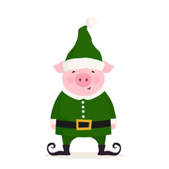 Pig dressed in Christmas elf costume. Merry Christmas and Happy New Year design. Funny character isolated on white background. Vector illustration.