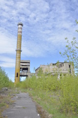 Ruiny fabryki przemysłowej / Ruins of an industrial factory