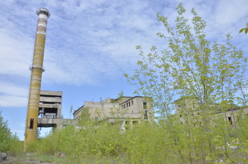 Fototapeta na wymiar Ruiny fabryki przemysłowej / Ruins of an industrial factory